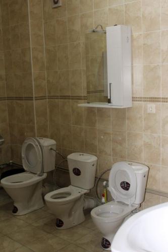 pic-03